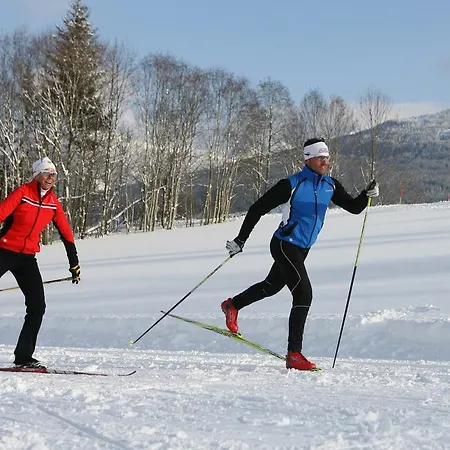 Luxus-appartements Fosensteiner Рамзау-ам-Дахштайн