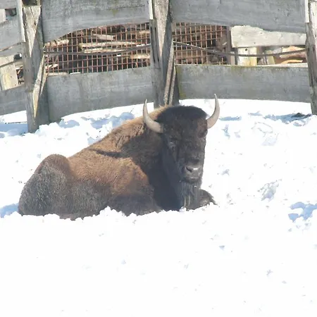 Luxus-appartements Fosensteiner *