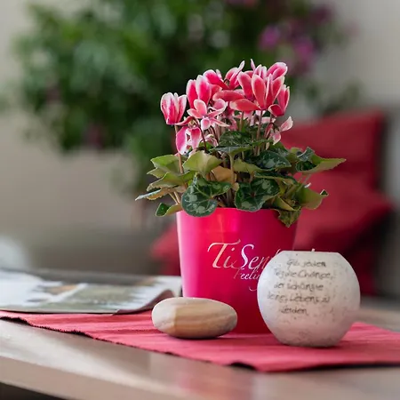 شقة Luxus-appartements Fosensteiner